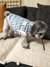 派乐特 狗狗衣服可牵引猫咪衣服秋冬新款小型猫犬宠物通用加绒保暖衣服L 实拍图