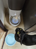 霍曼（Homerun）Real智能自动喂食器猫粮定时猫猫咪自动投食机PF20（不锈钢碗） 实拍图