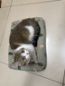 licheers猫狗窝凉席小型犬宠物猫咪睡垫夏季床垫泰迪中大型犬狗垫子 S号 实拍图