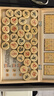 得力（deli）中国象棋套装折叠防水棋盘棋游儿童益智娱乐亲子生态原木开学礼物 实拍图