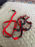 欢宠网狗绳狗狗牵引绳狗胸背带遛狗牵狗绳狗链子背带宠物大型小型犬小狗 实拍图