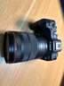 佳能r8 微单相机全画幅专微 4K视频EOSR8专业微单 R8单包机+24-105 USM拆【L级标准变焦】 套餐四【拍套四免费升级套餐五 配件升级不加价】 实拍图