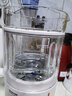 九阳破壁机1.2L家庭容量豆浆机 双层降噪隔音杯浆预约时间可做奶茶一键清洗全自动榨汁机料理机D361 实拍图