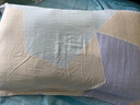 百丽丝水星家纺出品枕头套单件 全棉枕套枕巾纯棉枕头罩枕套一对48x74cm 实拍图
