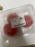 番茄约500g 实拍图
