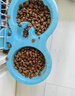 伯纳天纯金枪鱼蔓越莓成猫美毛猫粮2kg/4斤 实拍图