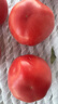 京鲜生 山东普罗旺斯番茄 净重4.5斤 单果125g+ 沙瓤西红柿 源头直发 实拍图