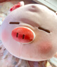 名创优品（MINISO）小猪B-BO弹力超柔趴姿公仔毛绒玩具玩偶抱枕靠枕娃娃生日礼物女 实拍图