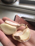 大蒜头出口品质网兜紫蒜蔬菜调料新鲜大果烧烤火锅食材 山东【精品网兜装】大蒜净重1350g 实拍图