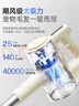 小熊（Bear）无线手持吸尘器家用便携大吸力带探照灯吸尘机 车载除尘吸尘猫狗宠物毛发软毛滚刷防缠绕XCQ-CA4R1 实拍图