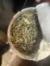 迎夏堂车前草新鲜中药材干货袋泡茶种子新货正宗干车前子金钱车轮草 车前草 250g*2罐 实拍图