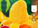 凯特芒芒果当季热带水果超甜现摘孕妇台芒整箱时令礼盒 凯特芒果净重8斤单果300g+ 实拍图