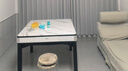 宣和（tryho）星爵全自动麻将机电动轻音棋牌麻将桌餐桌一体机麻可折叠家用 【月光白】餐桌一体+智能除湿 实拍图