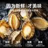 海鼎纪三去鲍鱼肉 净重250g（10-14粒）新鲜鲍鱼速冻 火锅 实拍图