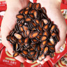 旭东百里挑一话梅味西瓜子独立小包装720g黑瓜子坚果休闲零食炒年货 实拍图