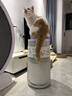 霍尼韦尔（Honeywell）空气净化器 宠物净化器H-Cat 过滤吸附猫毛 原厂滤网滤芯 适用KJ360F系列 复合滤网CMF36M 实拍图