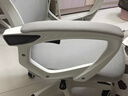 锦汐 电脑椅家用办公椅子靠背人体工学椅学习转椅老板座椅游戏电竞椅 【可后躺】白框灰网 实拍图