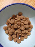 皇家狗粮 成犬粮 通用犬型 CC通用狗粮12月以上 8KG【成犬通用】 实拍图