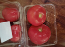 番茄约500g 实拍图