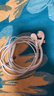 Apple/苹果 EarPods 闪电/Lightning有线耳机 苹果耳机有线耳机原装耳机 适用闪电接口的手机平板 实拍图