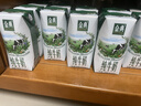 伊利金典纯牛奶整箱 200ml*24盒 3.6g乳蛋白 原生高钙 礼盒装 实拍图