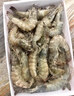 东上御品虾 青岛大虾基围虾鲜活青虾白虾海虾对虾冰虾冻虾生鲜 虾类 海鲜 3.3斤(净重)  盐冻大虾【单只速冻】 14-16cm【单只无冰衣】 实拍图