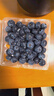 怡颗莓Driscoll's 云南蓝莓14mm+ 12盒装 约125g/盒 新鲜水果礼盒 实拍图