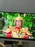 LESCA LUNETIER超轻纯钛纯欲无框女防蓝光无边框高级感男金丝镜架银色250度近视 实拍图