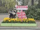 猫人【加绒加厚山羊绒】男士保暖背心男无袖打底衫坎肩马甲内衣女秋冬 实拍图