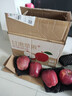 京鲜生 天水花牛苹果 净重4.5斤 单果170g+ 生鲜水果源头直发 实拍图