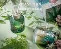 野兽派（THE BEAST）Jungle清新龙舌兰香薰蜡烛礼盒室内香薰新婚礼物生日礼物 实拍图