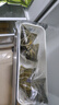 五芳斋 粽子 美味猪肉粽100g*10只 中华老字号 嘉兴特产端午礼袋粽 2斤 实拍图