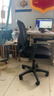 得力（deli）4900S 人体工学靠背办公椅/电脑椅/职员椅 可升降转椅舒棉坐垫 黑 实拍图