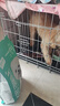 凯锐思 比熊狗粮 幼犬成犬老年犬专用比熊犬专用粮奶糕囤货装 【轻泪痕&亮毛发】升级2.0鲜肉双拼 12斤 实拍图