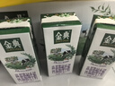 伊利金典高钙低脂纯牛奶整箱250ml*12盒（新老包装随机）礼盒装 实拍图