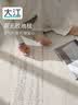 大江星光宝石无胶地毯客厅2026新款免洗可擦轻奢高级感160x300cm 实拍图