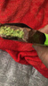 【网红爆品】迪拜风味巧克力坚果开心果榛子酱多种口味浓郁醇厚 迪拜开心果风味巧克力9盒（360g） 实拍图