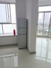 志高（CHIGO）206升三门冰箱家用小型一级能效BCD-206D 冷藏保鲜软冷冻分区存储租房节能三温区电冰箱 以旧换新 【206升三门三温区1.5米高 一级能效 银色】 实拍图