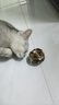 欢宠网猫薄荷球猫玩具猫咪磨牙棒逗猫自嗨解闷神器磨牙猫猫小猫幼猫宠物 实拍图