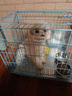 腆宠狗笼猫笼 狗笼子中小型犬带厕所幼犬狗窝猫笼子大号家用围栏兔笼 实拍图