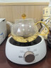 苏泊尔（SUPOR）迷你电陶炉煮茶器煮茶炉煮茶壶养生围炉煮茶茶艺炉泡茶家用办公老白茶黑茶花茶不挑器具SW-DTL01 实拍图