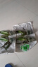 年宵花春节蝴蝶兰盆栽绿植花卉年货装饰过年四季开花大苗好养易活 光芒---【包开花】送营养液2包 带2支花剑 实拍图