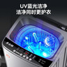 志高（CHIGO）全自动洗衣机 波轮宿舍迷你小型家用 洗烘一体 智能洗脱一体机 大容量 风干 波轮 10KG 智能风干 蓝光洁净 升级加厚 实拍图