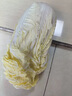 云南高原娃娃菜新鲜蔬菜生鲜乾隆白菜早餐火锅必备产地直发 浅黄色 新鲜娃娃菜3颗装*1包 实拍图