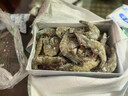 GUO LIAN厄瓜多尔原装进口白虾3.3斤净重特大号49-66只 生鲜海鲜源头直发 实拍图