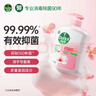 滴露（Dettol）健康抑菌洗手液滋润倍护500g 消毒抑菌99.99% 儿童适用不含酒精 实拍图