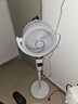 艾美特（AIRMATE）【小暴风PRO】空气循环扇家用大风力摇头电风扇卧室安静轻音小风扇桌面台式节能落地扇电扇 X231 实拍图