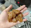 卉芋山海为礼四拼红色 海参鲍鱼鱼胶玛咖山珍海味 礼盒送长辈礼盒 实拍图