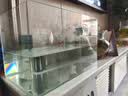 高清热弯浮法透明玻璃鱼缸客厅家用造景装饰生态中小型生态金鱼缸 热弯鱼缸-裸缸 长40*宽23*高25cm 实拍图