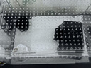Barbarous Growth爬宠亚克力饲养盒爬虫守宫寄居蟹箱蜥蜴蛇角蛙蜘蛛蜗牛甲虫生态缸 30*20*15cm【磁吸款】 实拍图
